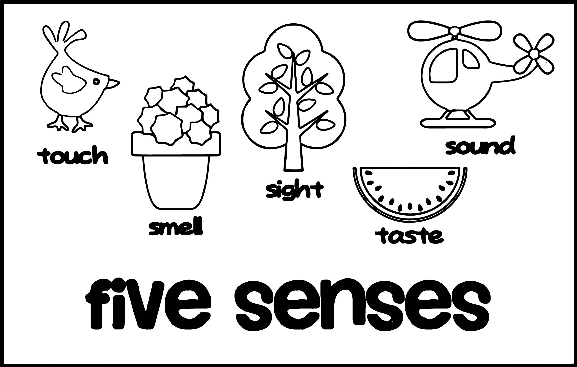 2389x1522 5 Senses Cute Coloring Page Pages
