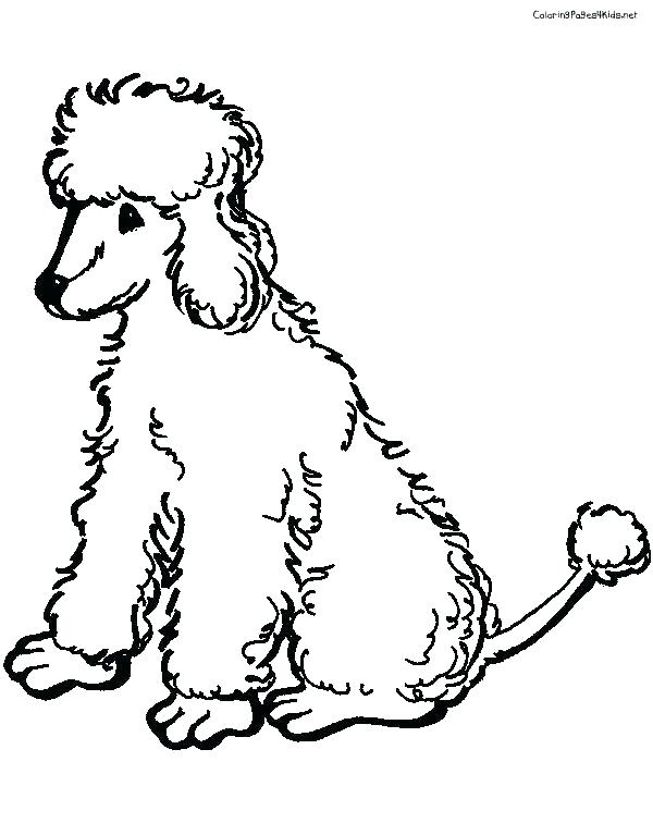 Toy Poodle Coloring Pages
