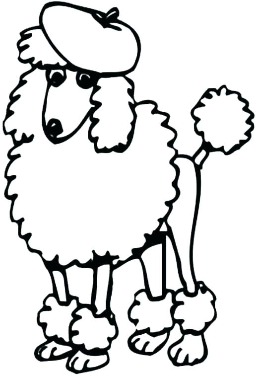 516x755 Poodle Coloring Page Poodle Coloring Page Poodle Coloring Page
