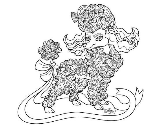 570x441 Cute Frilly Toy Poodle Adult Coloring Page Digital Stamp