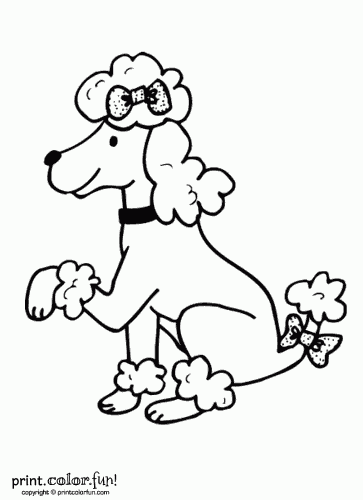 363x500 Poodle Dog Coloring Page