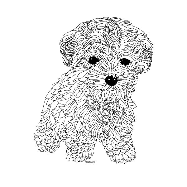 600x600 The Dog