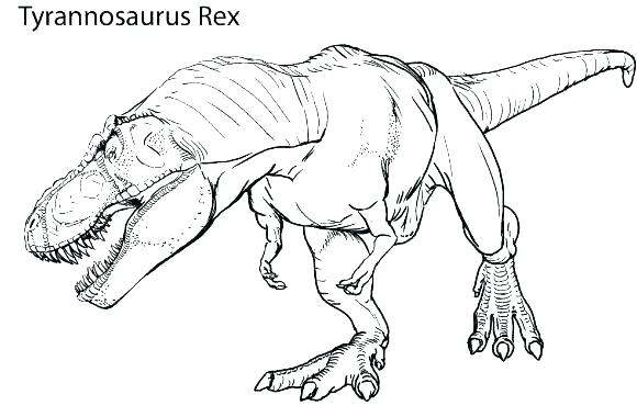 580x380 Coloring T Rex Yrannosaurus Realisic Yrannosaurus Realisic Star