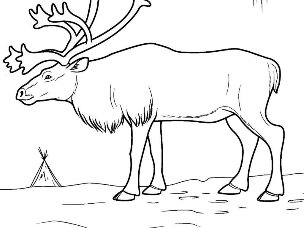 1024x768 Enchanting Toyota Coloring Pages Collection