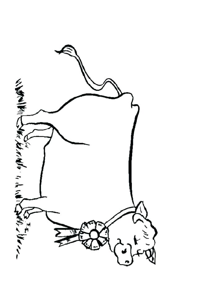 653x924 Tractor Trailer Coloring Pages Tractor Trailer Coloring Pages This