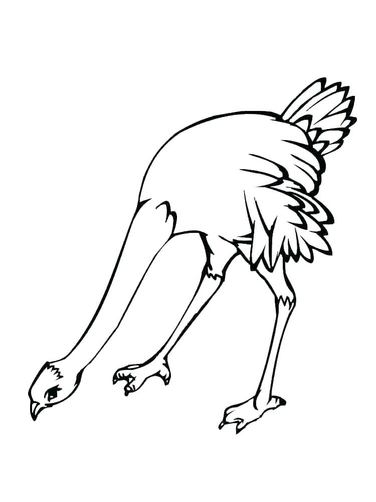 750x1000 Free Printable Angry Birds Transformers Coloring Pages