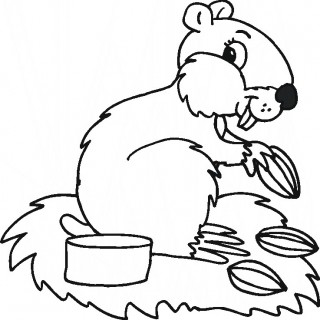 320x320 Dwalf Hamster Colouring Pages Picture Of An To Color