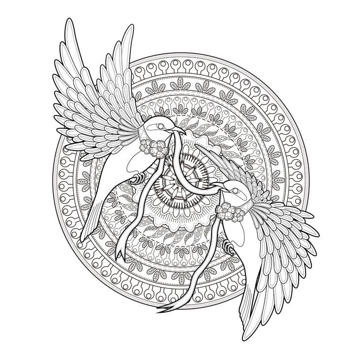 736x736 Adult Coloring Pages Mandala Transparent Background Download