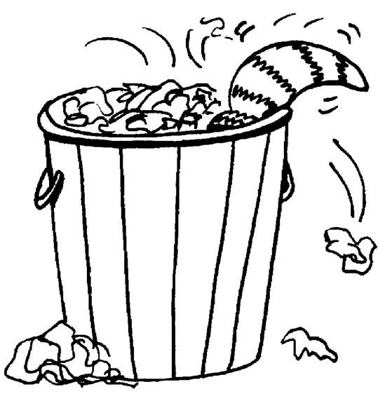 539x585 Racoon In The Trash Can