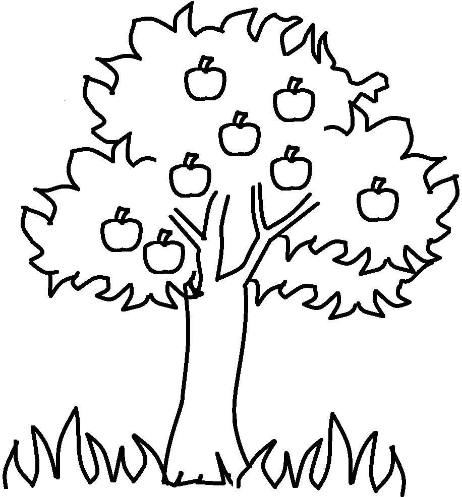 916x986 Apple Tree Coloring Page