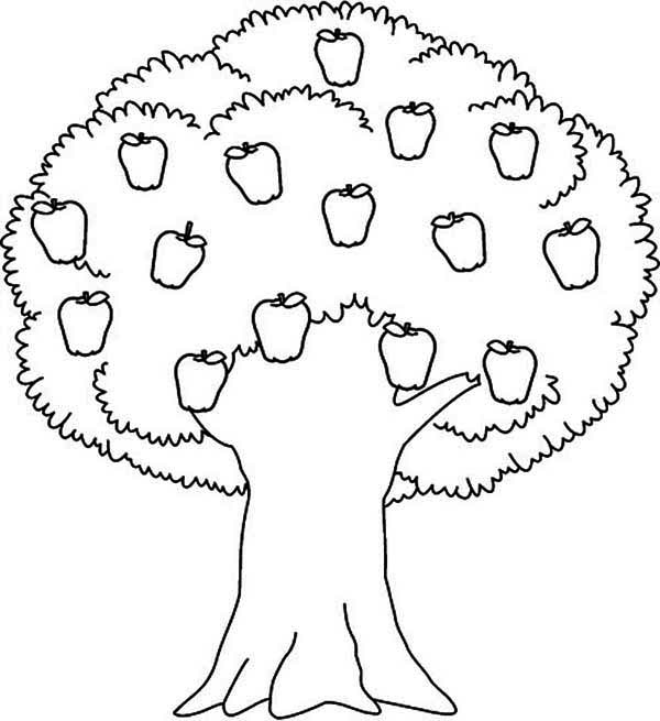 600x655 Impressive Ideas Apple Tree Coloring Page Picture Collection