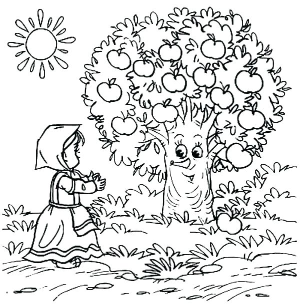 600x617 Apple Tree Coloring Page Plain Tree Coloring Page Tree Coloring