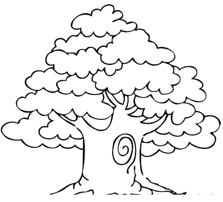 736x666 Tree Six Simple Trees Easy Coloring Pages For Toddlers Free