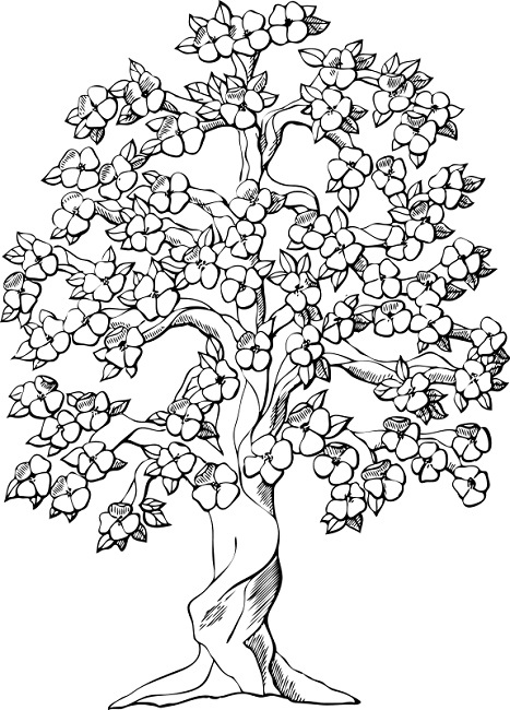467x650 Dogwood Tree Coloring Page