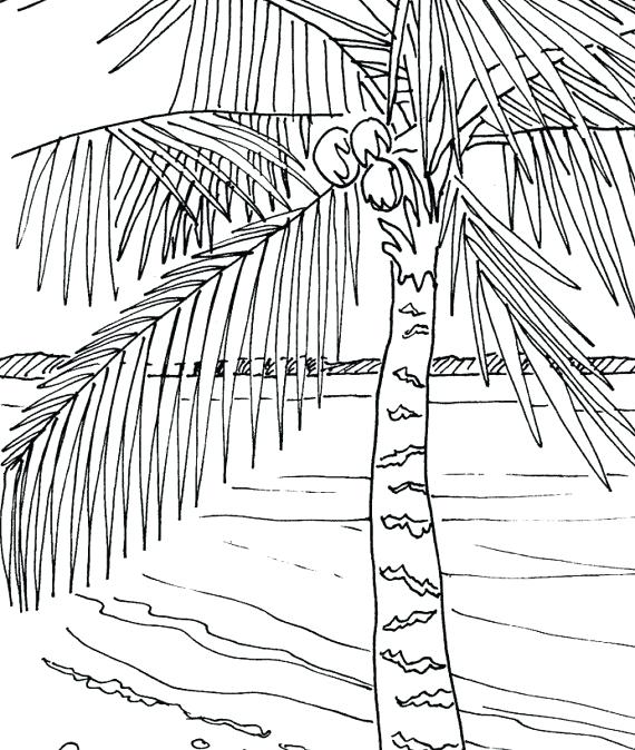 570x674 Palm Tree Coloring Pages Palm Leaves Coloring Pages Palm Tree