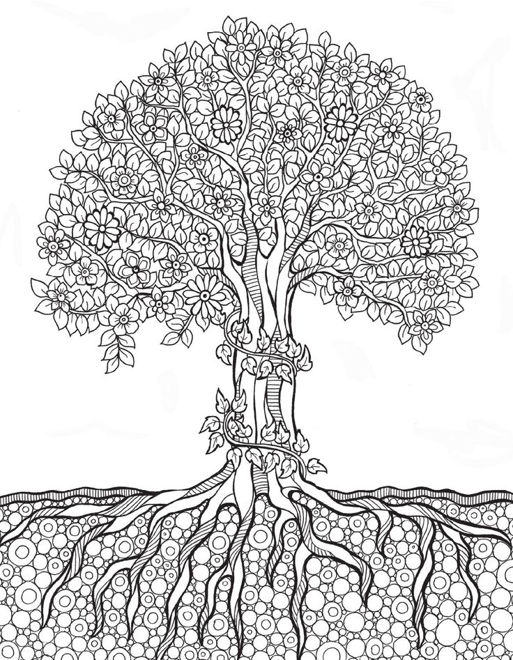 736x947 511 Best Tree Art