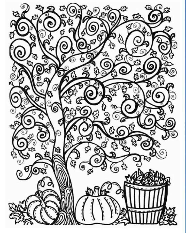 720x900 52 Best Trees Coloring Sheets Images On Colouring Book