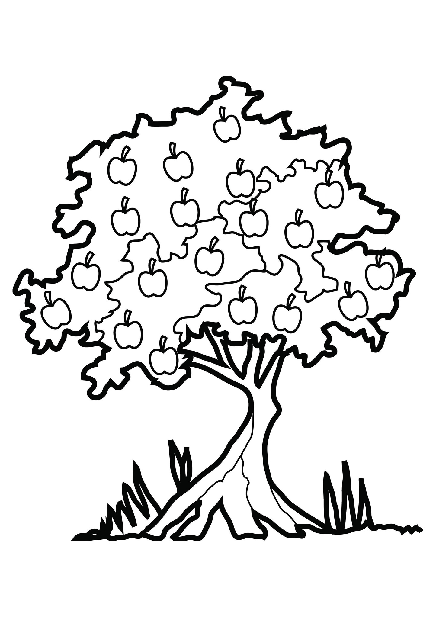 1444x2043 Tree Coloring Page Nature For Kids Printable Pictures Of Pine