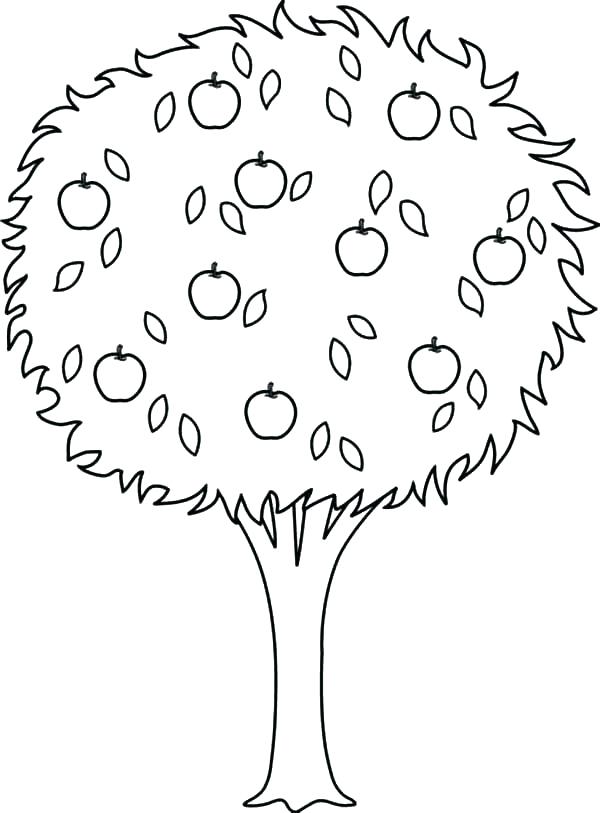 600x813 Apple Tree Coloring Page