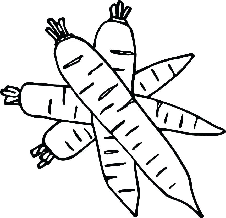 863x833 Fruit Color Pages Apple Tree Coloring Pages Printable