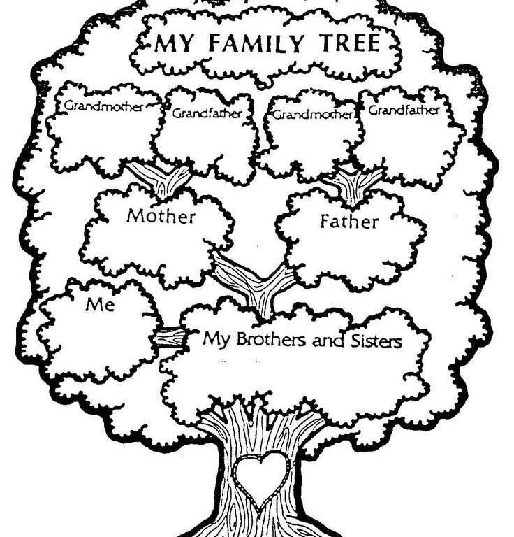 736x768 Printable Family Tree For Preschool Family Tree Coloring Pages