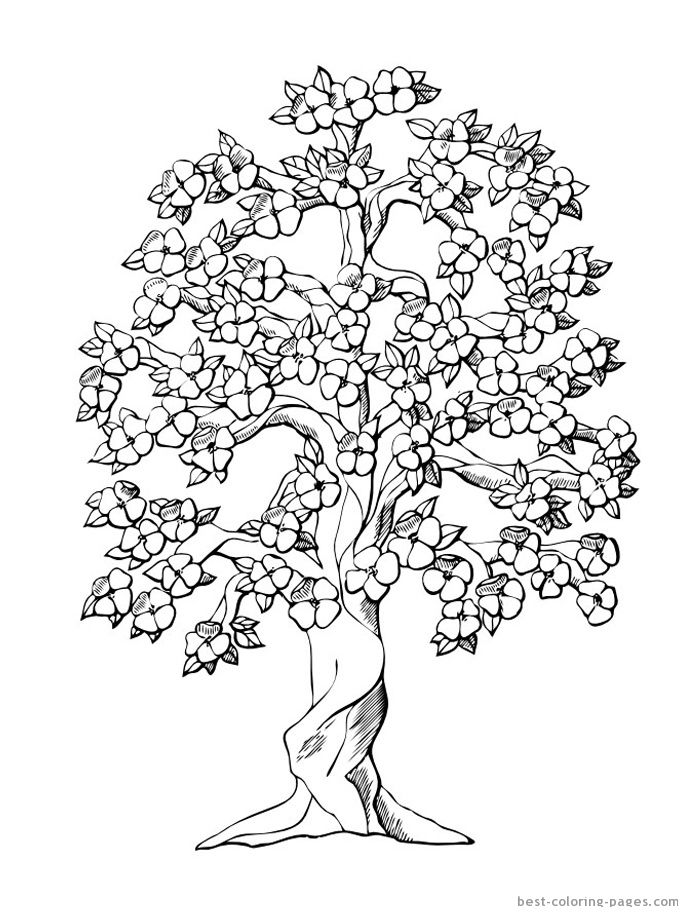 688x917 Best Coloring Pages