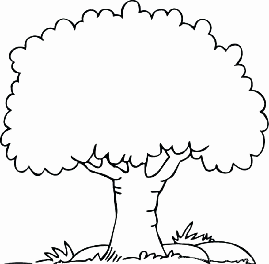 Tree Coloring Pages With Roots