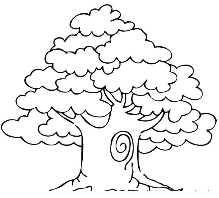 736x666 Coloring Pages For Trees Professional
