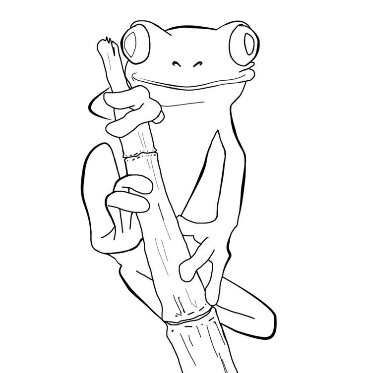 736x753 Frog Coloring Pages On Colouring Pages, Coloring Pages