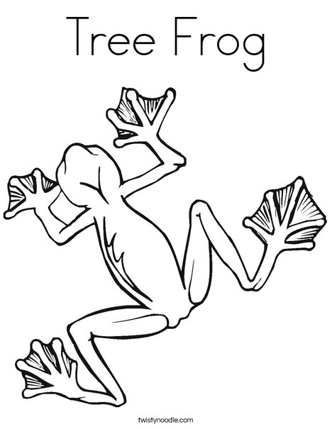 468x605 Tree Frog Coloring Page