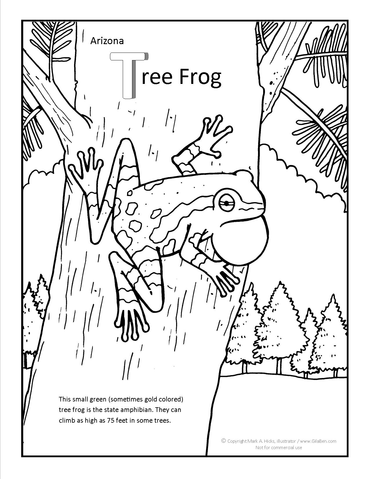 1275x1650 Arizona Tree Frog Coloring Pag
