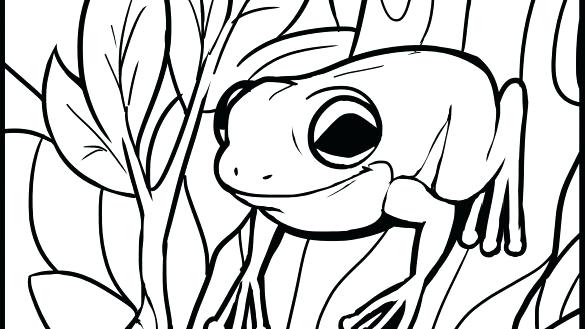 585x329 Tree Frog Coloring Pages