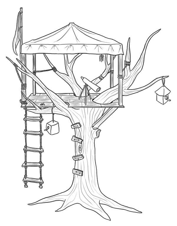 600x765 Treehouse For Observer Coloring Page Color Luna