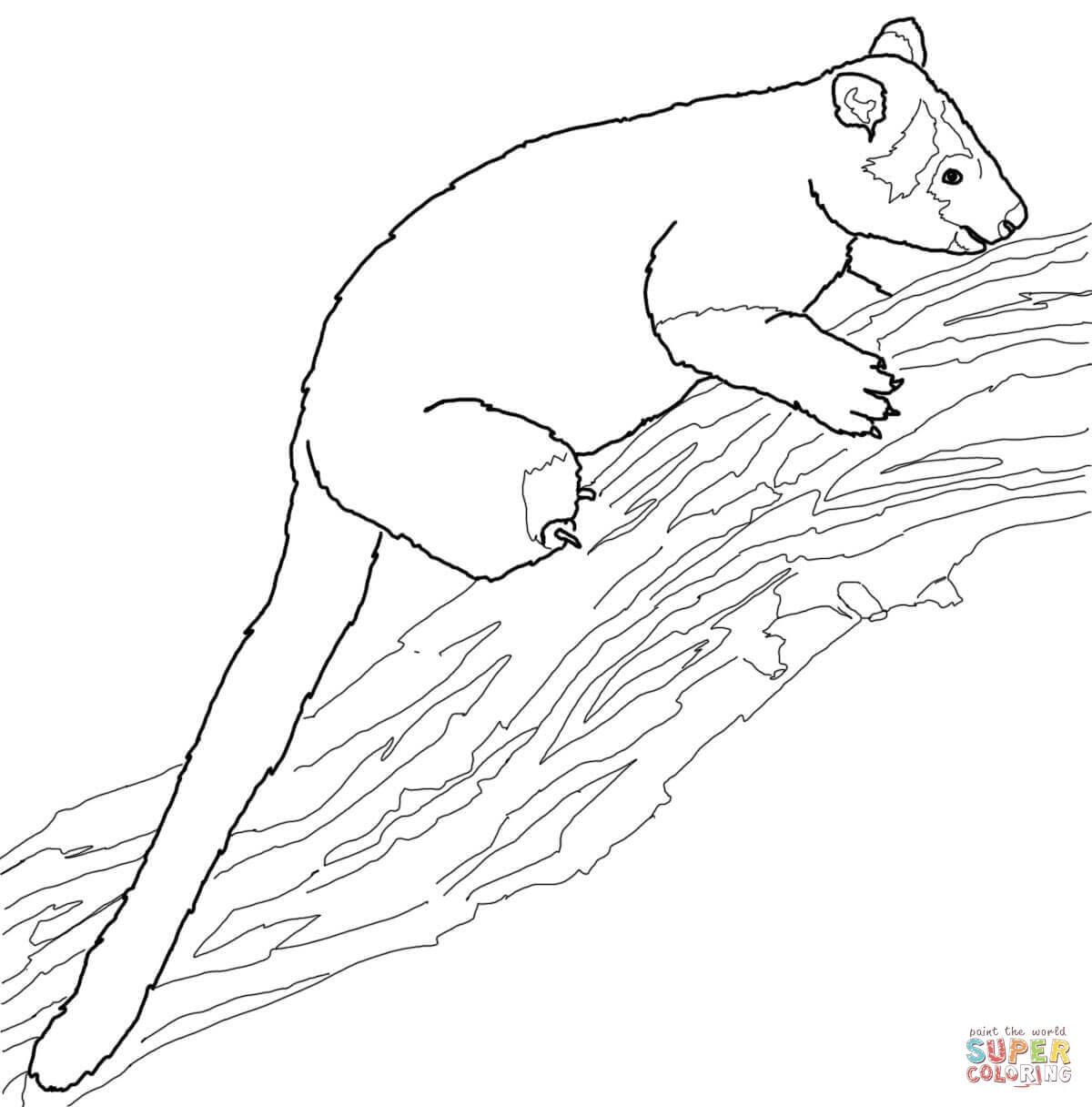 1200x1216 Coloring Pages Kangaroo