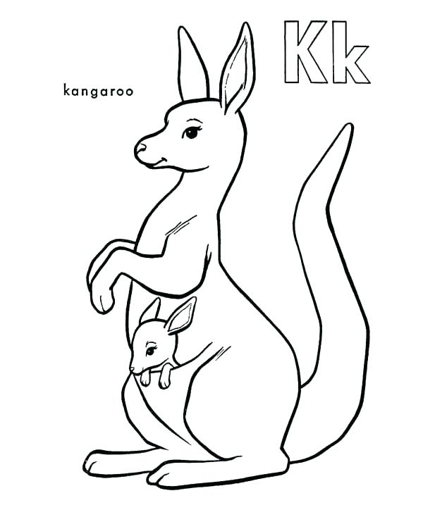 600x734 Tree Kangaroo Coloring Pages Click To See Printable Version