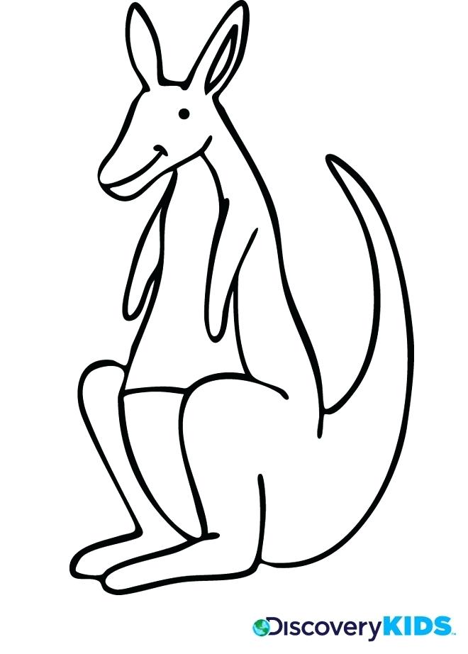 660x922 Kangaroo Color Page Activity Kangaroo Coloring Page Print Kangaroo