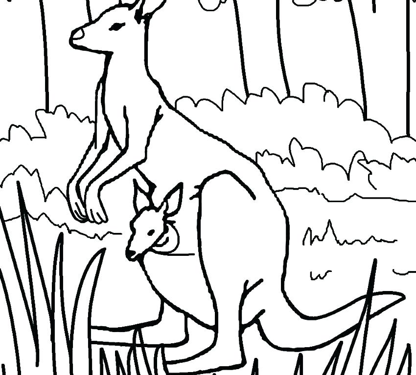 850x768 Kangaroo Coloring Page Baby Kangaroo Coloring Pages Kirby Kangaroo