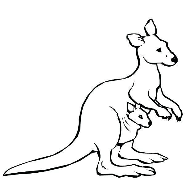 600x600 Kangaroo Coloring Page Kangaroo And Baby Kangaroo Coloring Page