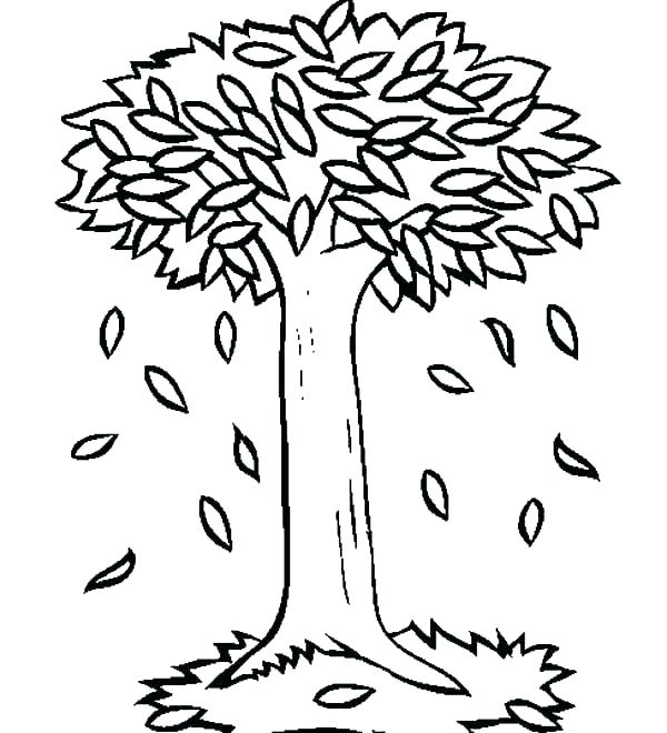 600x660 Fall Leaf Coloring Pages Page Image Images Pumpkin Coloring Pages