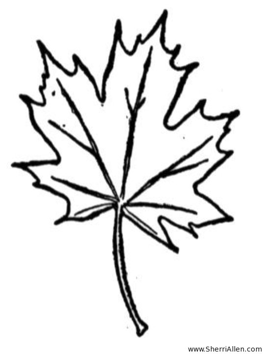 540x720 Kids N 19 Coloring Pages Of Trees And Leaves