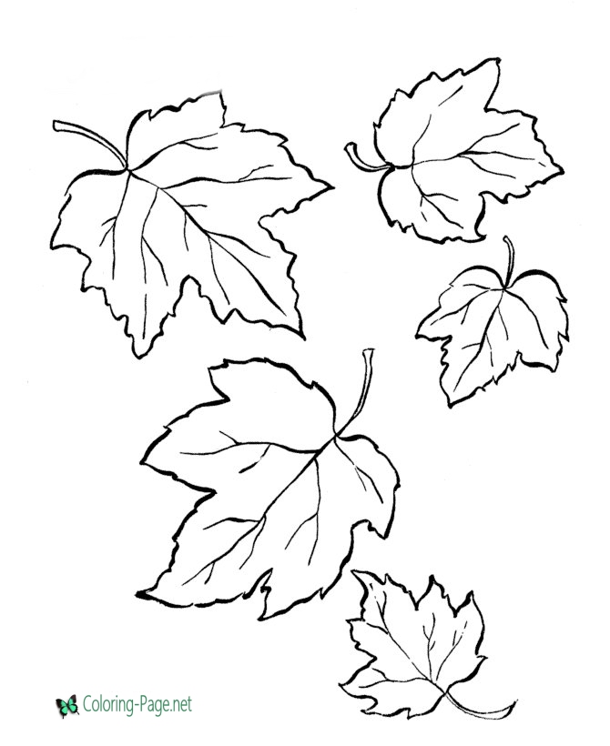 670x820 Tree Leaves Coloring Pages
