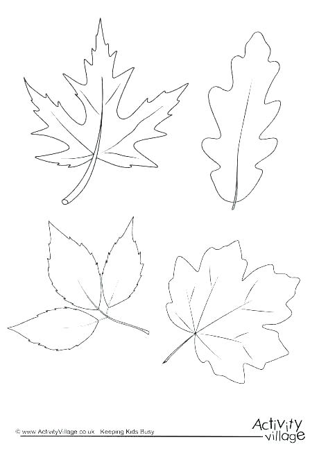 460x650 Tree Without Leaves Coloring Page Coloring Pages Of Trees Without