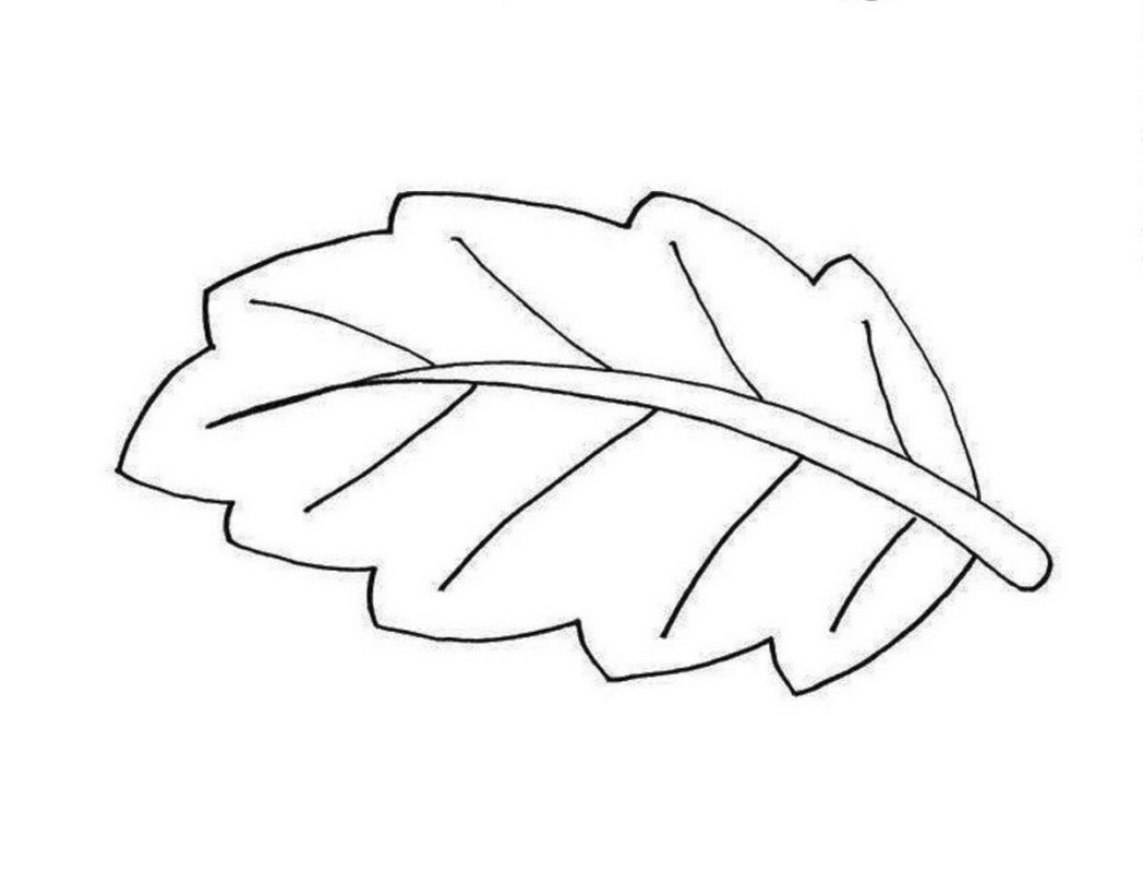1048x799 Coloring Pages For Leaves Tree Page Leaf Coloring Pages Preschool