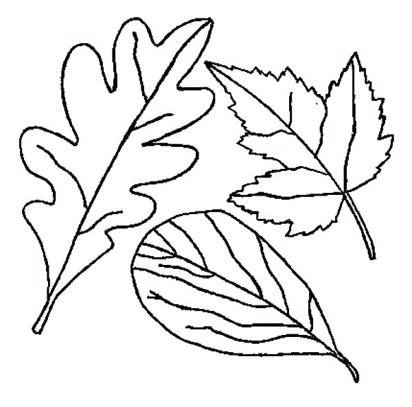 600x593 Tree Leaves Coloring Pages Coloring Ideas Pro