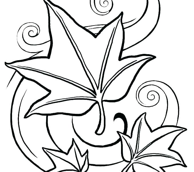 678x600 Coloring Page Leaf Coloring Pages Leaves Coloring Page