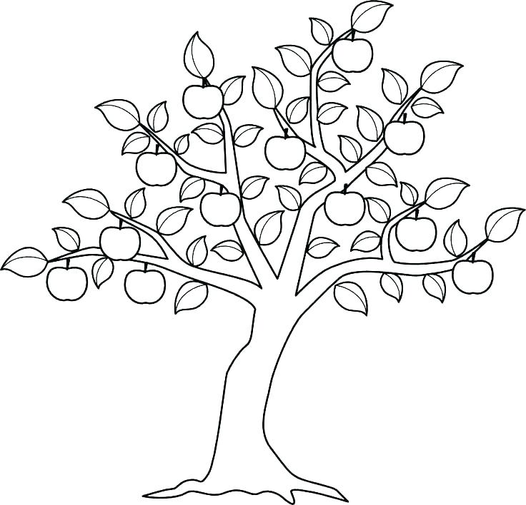 736x708 Coloring Page Of A Tree Tree Frog Coloring Pages Tree Frog
