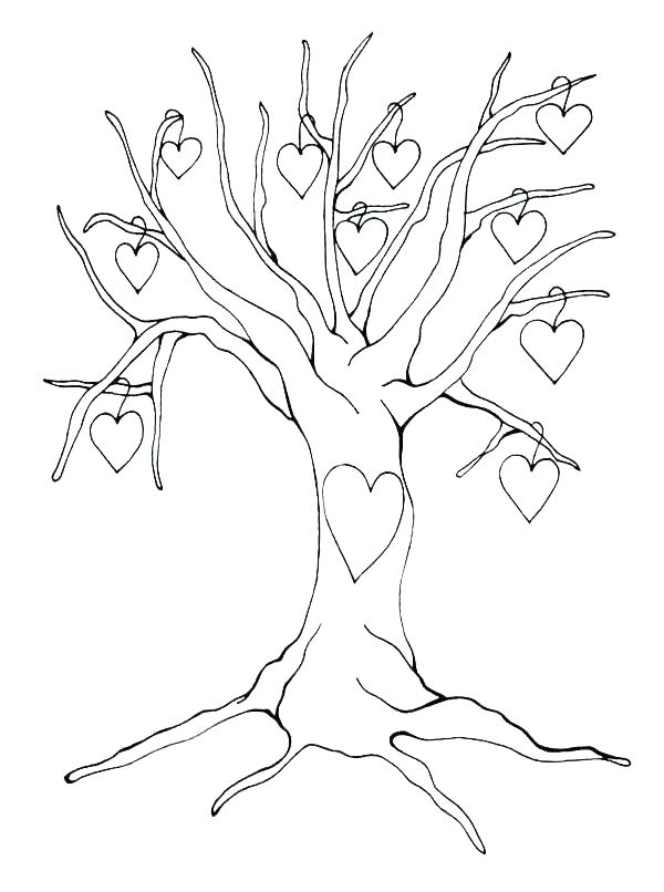 600x806 Tree Of Life Coloring Pages