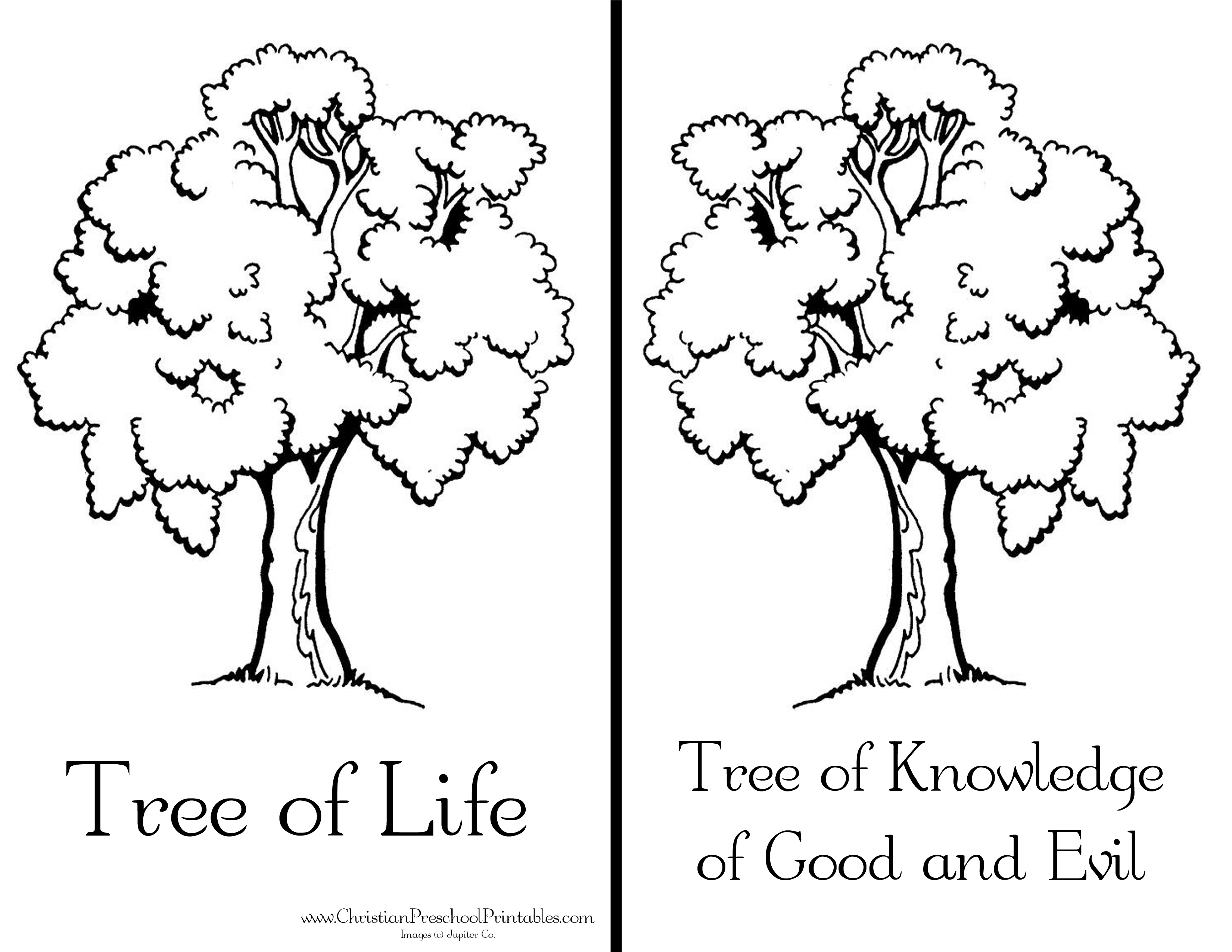 3300x2550 Printable Garden Eden Coloring Page Coloring Page