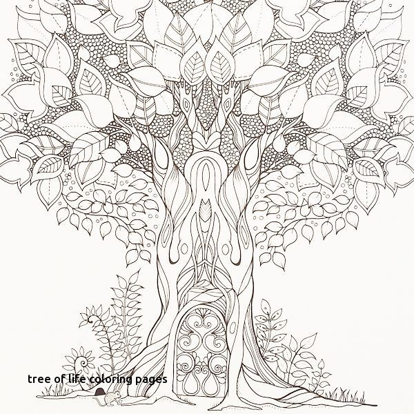 600x600 Tree Trunk Coloring Page Free Coloring Pages