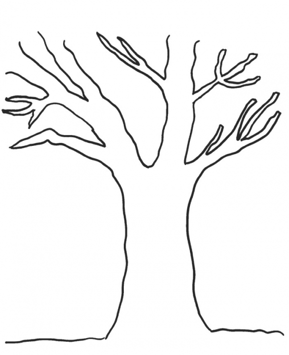 595x730 Skill Tree Trunk Coloring Page For Pages Www Sporturka Tree